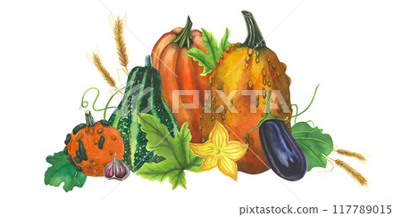 Pumpkins, eggplant, spikelets and garlic composition. Hand drawn watercolor illustrations on white background. Happy Thanksgiving Pumpkins, eggplant, spikelets and garlic composition. Hand drawn watercolor illustrations on white background. Happy Thanksgiving 117789015