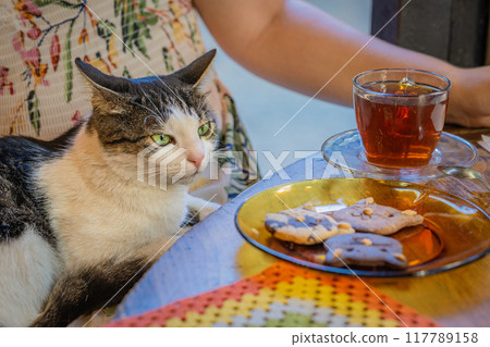 A cat relaxing beside cookies and tea on colorful table in a cozy cafe A cat relaxing beside cookies and tea on colorful table in a cozy cafe 117789158