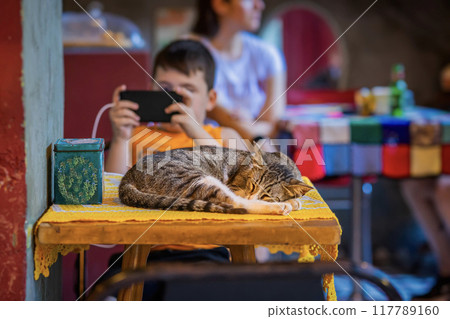 A sleeping cat on a table while a child is engrossed in phone in a vibrant cafe setting 117789160
