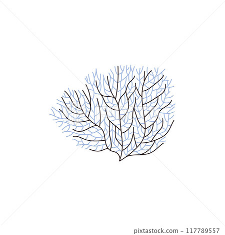 Vector illustration of underwater corals with thin branches isolated on a white background 117789557