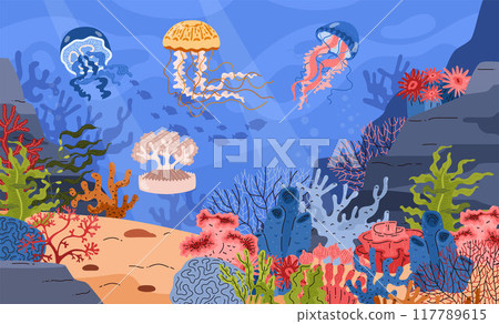 Vector illustration of beautiful jellyfish on a background of algae, corals and the seabed Vector illustration of beautiful jellyfish on a background of algae, corals and the seabed 117789615