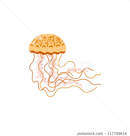 Jellyfish vector illustration with flowing tentacles 117789616