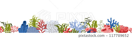 Seaweed and corals vector illustration set 117789652