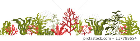 Red and green seaweed. Seamless border at the bottom. 117789654