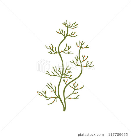 Vector icon of exotic green algae with elegant thin appendages and red elements Vector icon of exotic green algae with elegant thin appendages and red elements 117789655