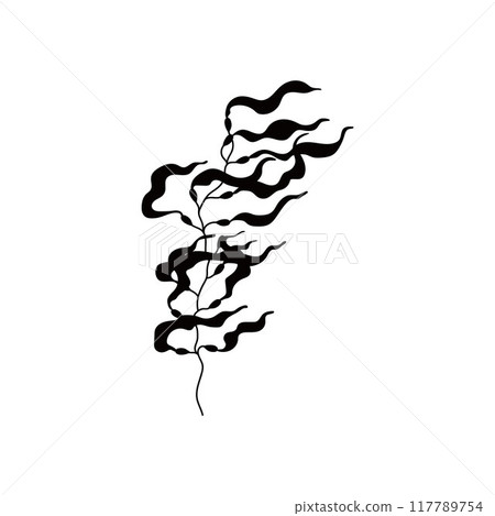 Seaweed. Black silhouette. Macrocystis. 117789754