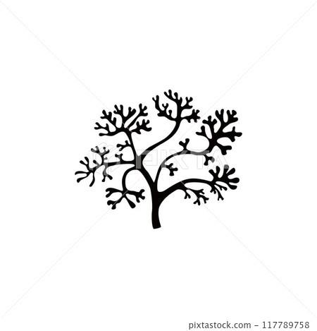 Vector images of a black silhouette of exotic algae with graceful thin branches Vector images of a black silhouette of exotic algae with graceful thin branches 117789758