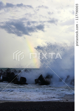 Typhoon wave 117790003