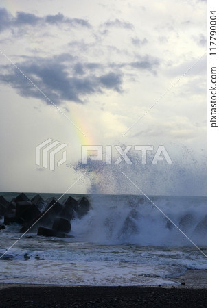 颱風波 颱風波 117790004