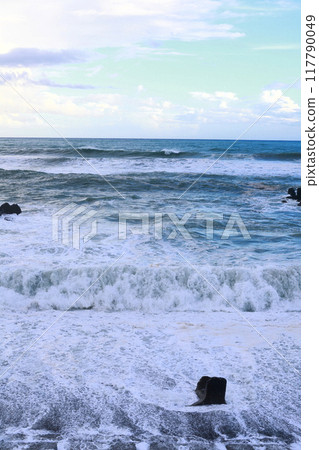 颱風波 颱風波 117790049