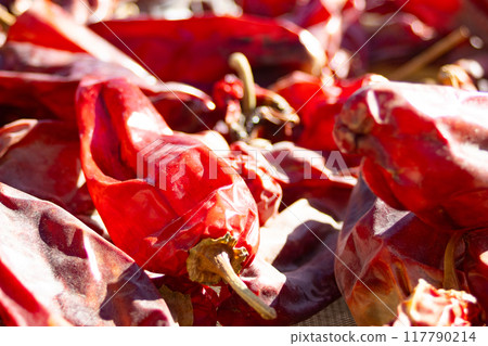 Red peppers in a drying shed. Smoked paprika factory.Salta, Argentina Red peppers in a drying shed. Smoked paprika factory.Salta, Argentina 117790214