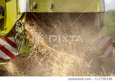 Combine harvester at work, plowing golden wheat field, rural agribusiness. Under clear sky, combine harvester plows through the golden wheat field, harvest season. modern farming technology 117790386