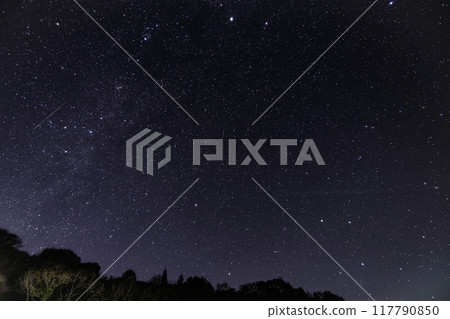Winter starscape: Cassiopeia and the Milky Way, shooting stars Winter starscape: Cassiopeia and the Milky Way, shooting stars 117790850