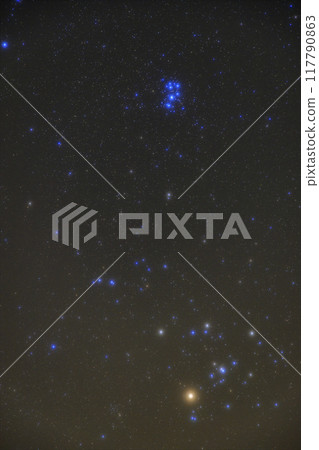Winter starry sky: Pleiades and Hyades star clusters Winter starry sky: Pleiades and Hyades star clusters 117790863