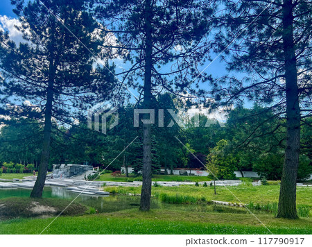 Landscape view of Japanese park with trees and grass on a sunny day in Chorzow, Poland Landscape view of Japanese park with trees and grass on a sunny day in Chorzow, Poland 117790917