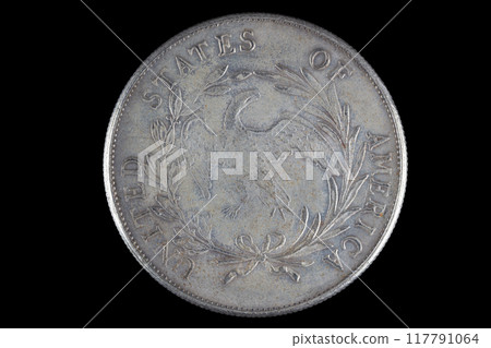 Old west period US silver dollar coin Old west period US silver dollar coin 117791064