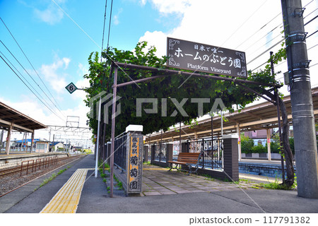 <Nagano Prefecture> Vineyard on the platform of Shiojiri Station <Nagano Prefecture> Vineyard on the platform of Shiojiri Station 117791382