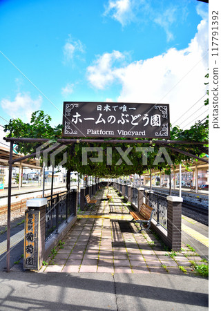 [長野縣] 鹽尻月台上的葡萄園 117791392