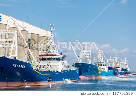 在青森縣八戶市第一魚市漁港排隊卸貨的漁船 117791599