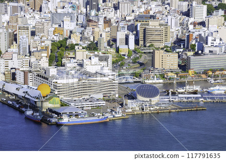 從稻佐山看長崎的都會風景（長崎縣長崎市） 117791635