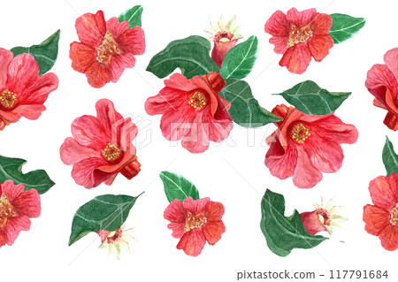 Pomegranate flowers and developing pomegranate fruit with green leafs seamless pattern isolated on white. The hand-painted vibrant watercolor artwork ideal for botanical prints, textile, wrapping 117791684