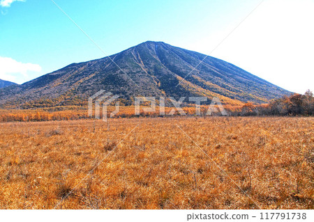 深秋的戰場原自然考察路線(戰場原展望台附近)【栃木縣日光市】 深秋的戰場原自然考察路線(戰場原展望台附近)【栃木縣日光市】 117791738