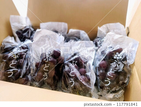 Kyoho grapes in a cardboard box Kyoho grapes in a cardboard box 117791841