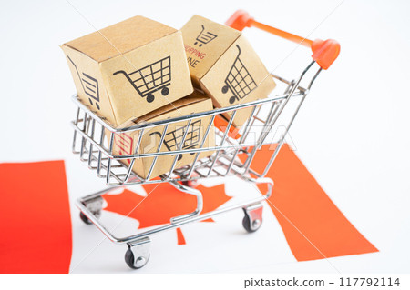 Box with shopping online cart logo and Canada flag, Import Export Shopping online or commerce finance delivery service store product shipping, trade, supplier. 117792114