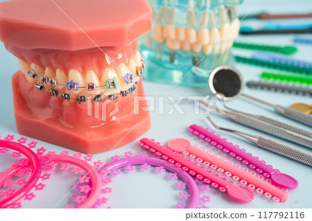 Orthodontic ligatures rings and ties, elastic rubber bands on orthodontic braces, model for dentist studying about dentistry. 117792116