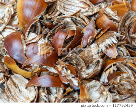 剝栗子後的惡魔皮 剝栗子後的惡魔皮 117792439