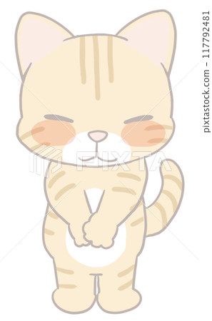 Brown tabby cat giving thanks Brown tabby cat giving thanks 117792481