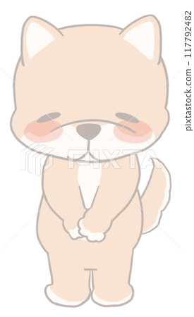 Shiba Inu giving thanks 117792482