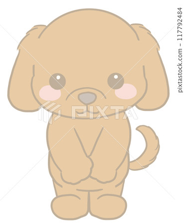 Dachshund giving thanks 117792484