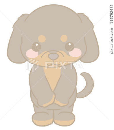 Dachshund giving thanks 117792485