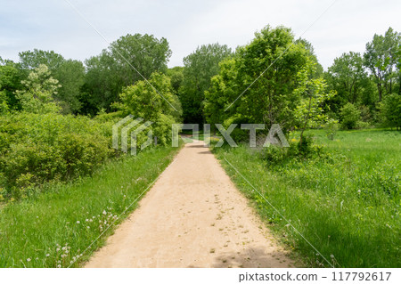 A walking path to the horizon in a local state park surrounded by lush greenery. A walking path to the horizon in a local state park surrounded by lush greenery. 117792617