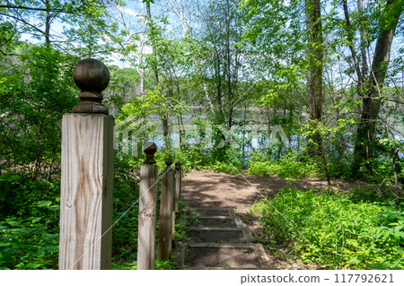 A walking path to the horizon in a local state park surrounded by lush greenery. A walking path to the horizon in a local state park surrounded by lush greenery. 117792621