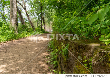 A walking path to the horizon in a local state park surrounded by lush greenery. A walking path to the horizon in a local state park surrounded by lush greenery. 117792638