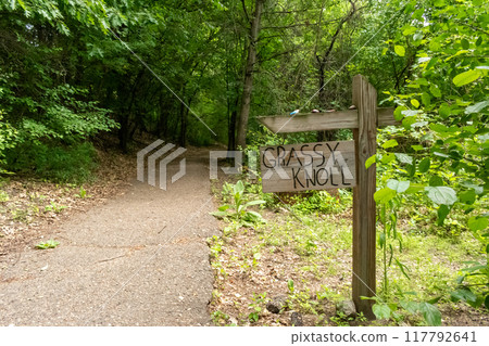A walking path to the horizon in a local state park surrounded by lush greenery. 117792641