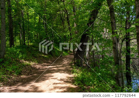 A walking path to the horizon in a local state park surrounded by lush greenery. 117792644