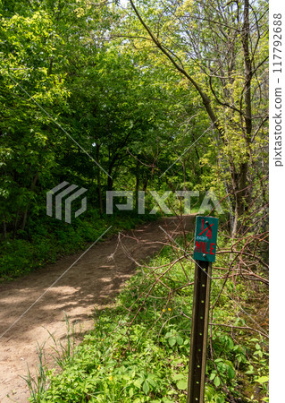 A walking path to the horizon in a local state park surrounded by lush greenery. A walking path to the horizon in a local state park surrounded by lush greenery. 117792688