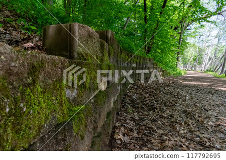 A walking path to the horizon in a local state park surrounded by lush greenery. 117792695