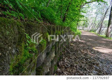 A walking path to the horizon in a local state park surrounded by lush greenery. A walking path to the horizon in a local state park surrounded by lush greenery. 117792697