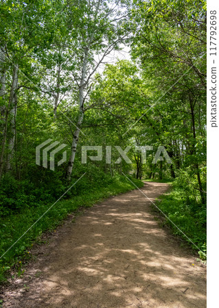 A walking path to the horizon in a local state park surrounded by lush greenery. A walking path to the horizon in a local state park surrounded by lush greenery. 117792698