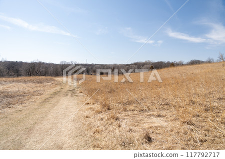 A walking path to the horizon in a local state park surrounded by winter trees. 117792717