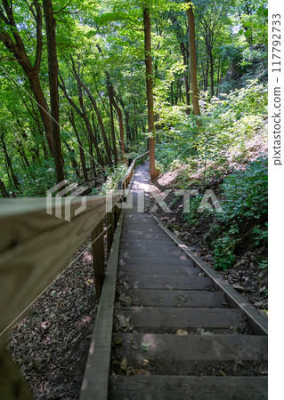 A walking path to the horizon in a local state park surrounded by lush greenery. 117792733
