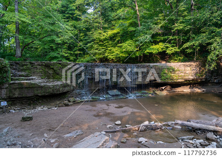 A beautiful view of a waterfall hidden away in a lush and green forest. 117792736