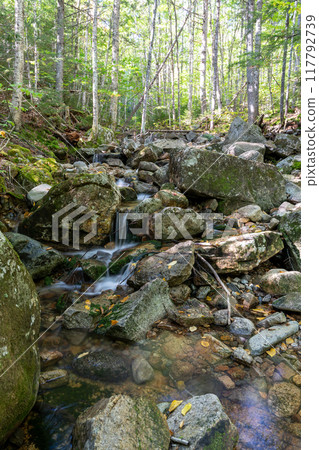 A beautiful view of a waterfall hidden away in a lush and green forest. 117792739