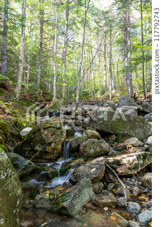 A beautiful view of a waterfall hidden away in a lush and green forest. A beautiful view of a waterfall hidden away in a lush and green forest. 117792743