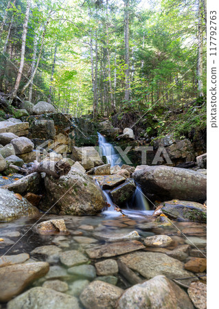 A beautiful view of a waterfall hidden away in a lush and green forest. 117792763