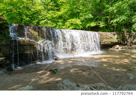 A beautiful view of a waterfall hidden away in a lush and green forest. 117792764